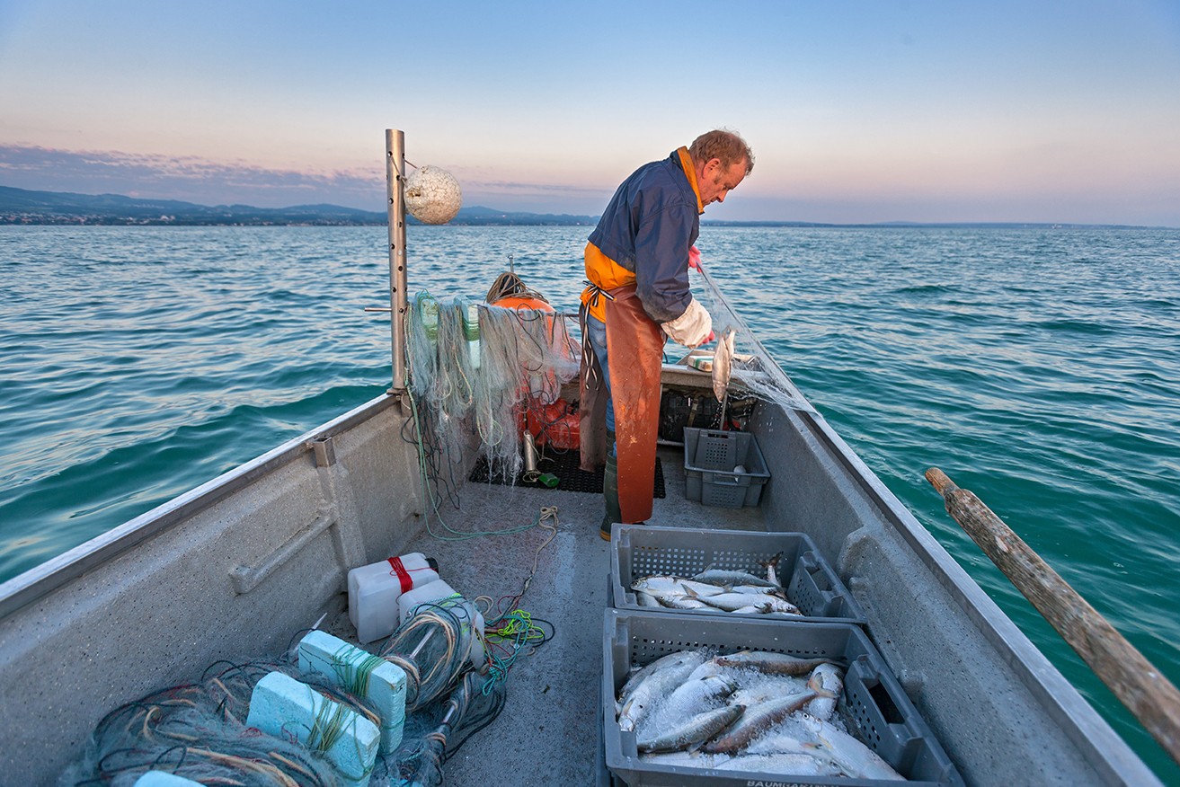 Foto Gallus Baumgartner.jpg
